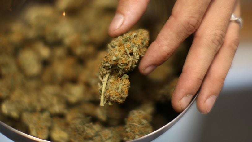 A budtender handles marijuana at Perennial Holistic Wellness Center, a not-for-profit medical marijuana dispensary in operation since 2006, in Los Angeles, California.