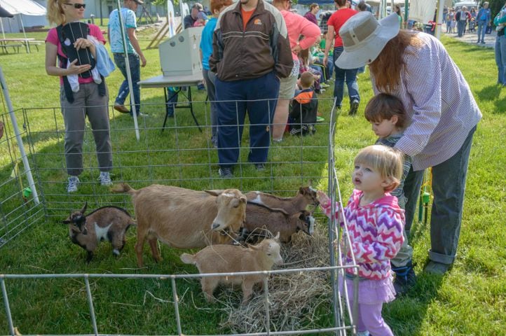 PHOTOS: Aullwood Farm Babies Fest 2017