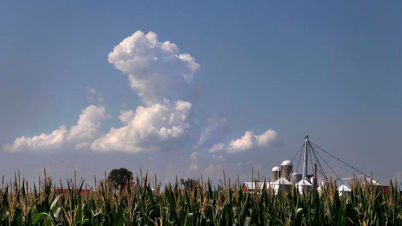 Clouds billow over corn fields that will soon be ready for harvest near Jackson Twp. in the western part of Montgomery County. LISA POWELL / STAFF