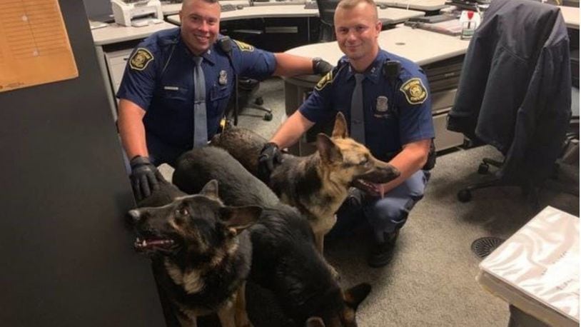 Troopers pose with the three German shepherds that were found on a Detroit freeway early Wednesday.