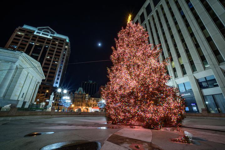 2020 Courthouse Square Tree