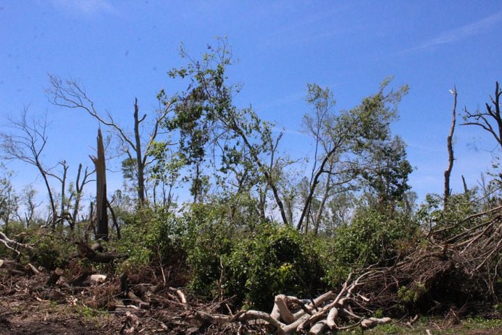 Photos: ‘extraordinary’ damage to parts of  Wegerzyn MetroPark, some parts mostly untouched