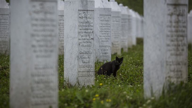 A black cat sits between gravestones at the Potocari cemetery and memorial near Srebrenica on July 9, 2015 in Srebrenica, Bosnia and Herzegovina. The newly-identified remains of another 136 victims from Srebrenica massacre were buried at the ceremony on July 11, 2015 on the 20th anniversary of the massacre. At least 8,3000 Bosnian Muslim men and boys who had sought safe heaven at the U.N.-protected enclave at Srebrenica were killed by members of the Republic of Serbia (Republika Srpska) army under the leadership of General Ratko Mladic, who is currently facing charges of war crimes at The Hague, during the Bosnian war in 1995. (Photo by Matej Divizna/Getty Images)