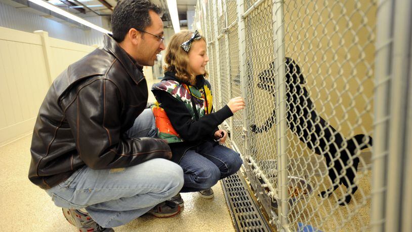 The Animal Friends Humane Society is holding its own Black Friday event on Nov. 24 to encourage potential pet owners to adopt black cats and dogs, who are often overlooked. STAFF FILE PHOTO/2010
