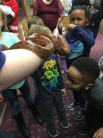 PHOTOS: Boonshoft Museum’s newest baby zoo animal is slithering into people’s hearts