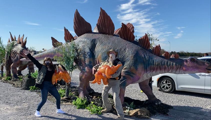 PHOTOS: Experience full-size predators and playful baby dinosaurs without leaving your car during Jurassic Quest