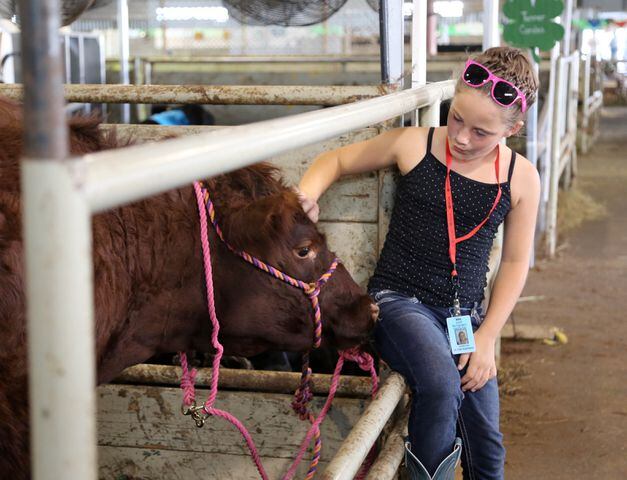 PHOTOS: Animals you will see at Montgomery County Fair