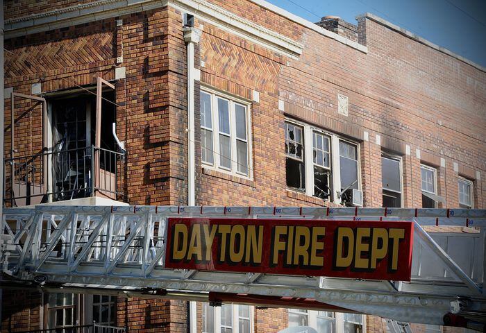 PHOTOS: Cats rescued from Dayton apartment fire