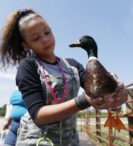 PHOTOS: First-day fun at the Montgomery County Fair