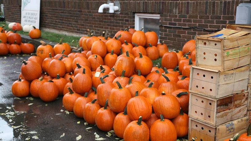 Bradford pays homage to pumpkins with a five-day community celebration. CONTRIBUTED