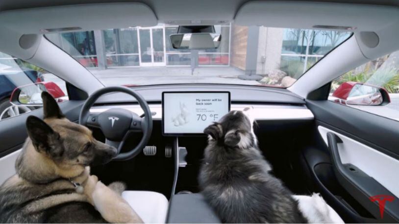 Dog Mode was added as a software update for Tesla Model 3 vehicles. (Photo: Screengrab via Tesla)