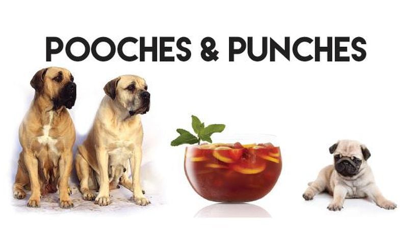 Lily's Bistro hosts Pooches & Punches, a pet-friendly cocktail party, benefitting SICSA, on Wednesday, June 8, at 5 p.m. (Source: Lily's Bistro Facebook page)