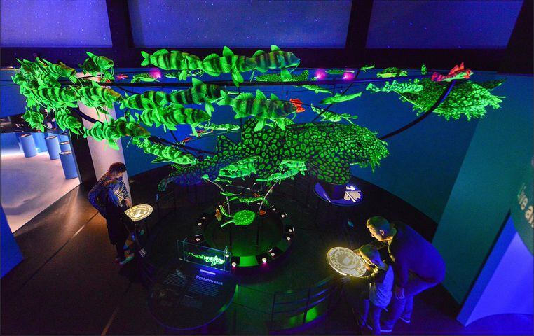 PHOTOS: New COSI exhibition is a voyage under the sea