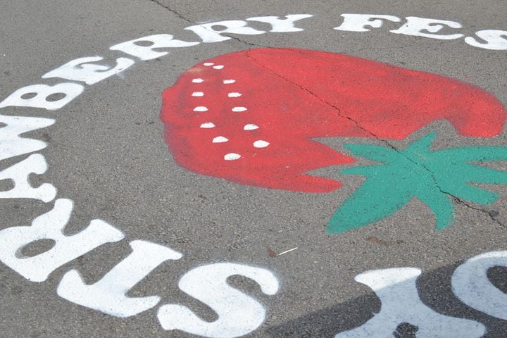 Photos: Another look at 2015 Troy Strawberry Festival