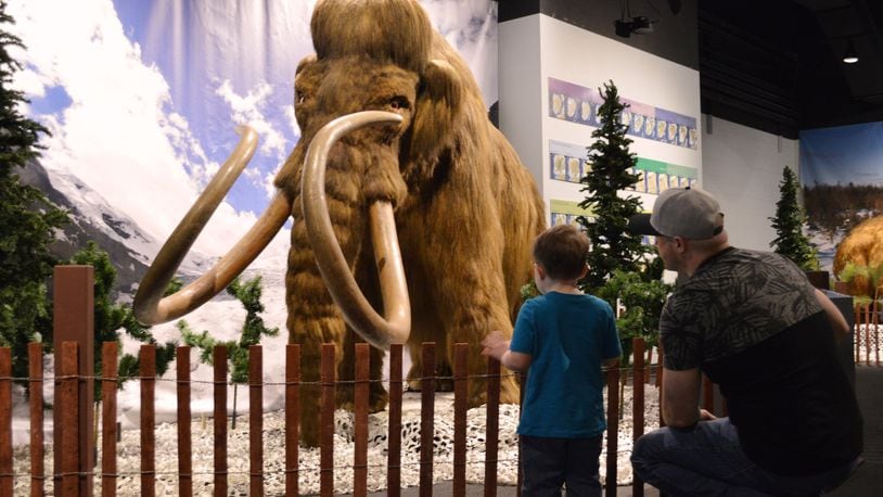 The exhibition, “The Age of Mammals and Ice,” will be on display at the Boonshoft through May 7. SUBMITTED PHOTO BY KRISTY CREEL