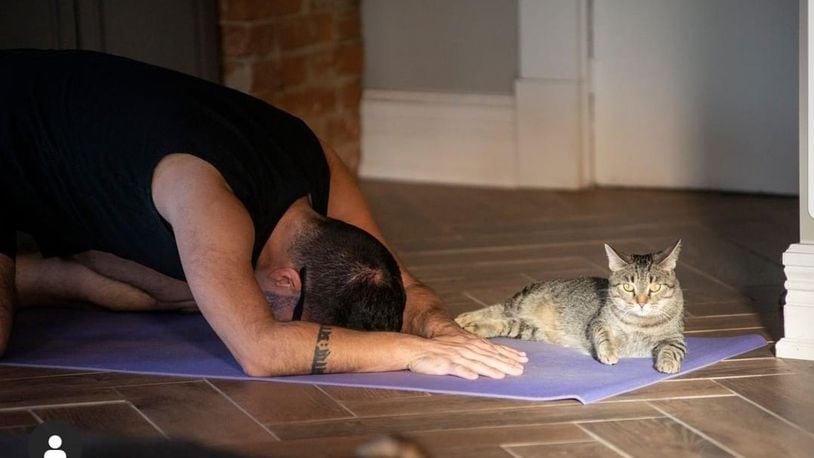 Yogi Matt Turner has started sharing his love of yoga and kittens at the Gem City Catfe. CONTRIBUTED