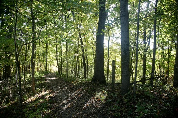 PHOTOS: New hiking trails at Germantown MetroPark explore a landscape of beauty