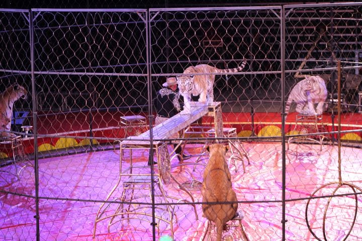 PHOTOS: Antioch Shrine Circus at UD Arena