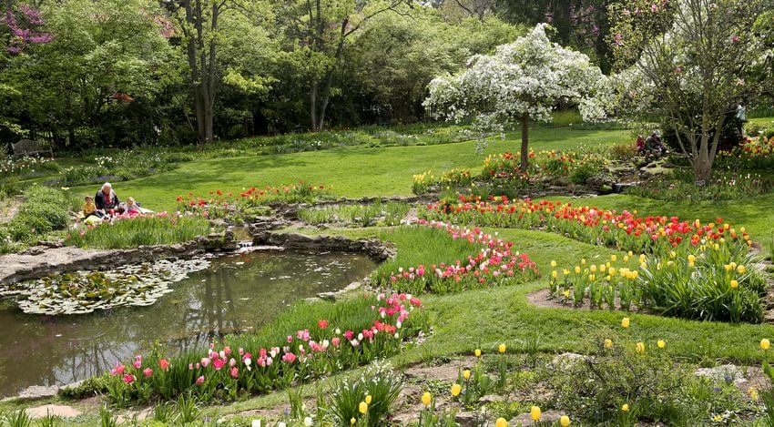 PHOTOS: Tulip time! Oakwood’s Smith Memorial Gardens is overflowing with colorful blooms