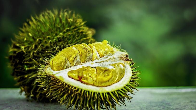Durians are known for their pungent smell.