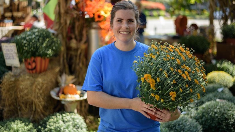 The Tipp City Mum Festival has been canceled this year, but downtown merchants are offering a Mum Hop as an alternative way to celebrate the start of fall this weekend. TOM GILLIAM / CONTRIBUTING PHOTOGRAPHER