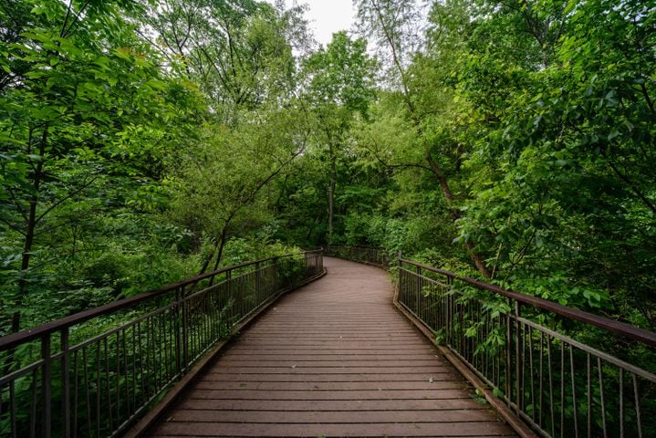 PHOTOS: Take a stroll through the hills at picturesque park