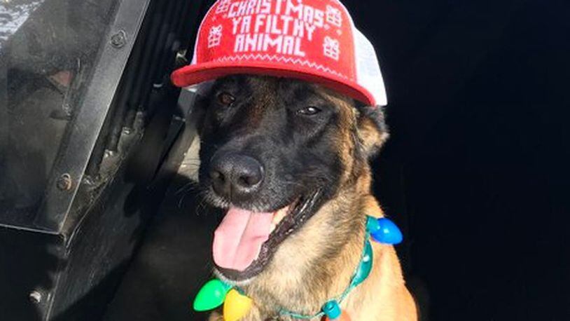 Bruno, who works with the Pulaski County Sheriff's Office in Arkansas, shows off his Christmas present - a "Home Alone" -inspired hat. Law enforcement agencies across the country shared photos of their K-9s festooned for the holidays. (Pulaski County Sheriff's Office/Pulaski County Sheriff's Office)