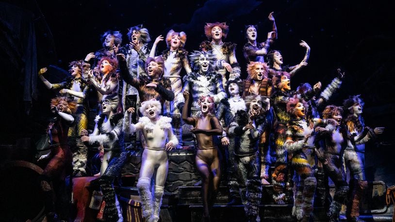 Wright State University graduate Megan Arseneau is part of the 2021-22 national touring company of the Broadway show "CATS.'' The show runs Tuesday through Sunday at the Schuster. CONTRIBUTED