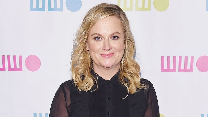 NEW YORK, NY - NOVEMBER 13:  Amy Poehler attends the Worldwide Orphans 13th Annual Gala on November 13, 2017 at Cipriani Wall Street in New York City.  (Photo by Michael Loccisano/Getty Images for Worldwide Orphans)