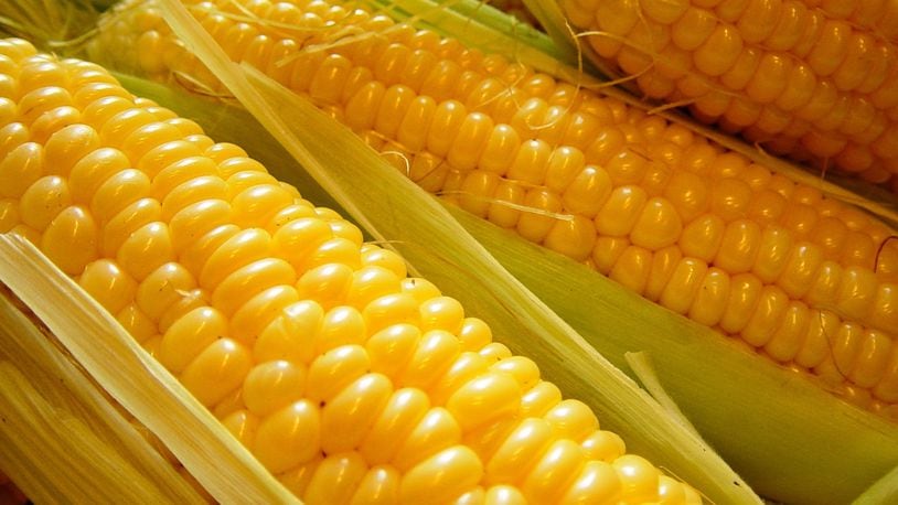 Sweet corn is the star of the show at the Fairborn Sweet Corn Festival, which was canceled for this year due to the coronavirus. It returns Aug.  21 and Aug. 22, 2021, organizers said. CONTRIBUTED