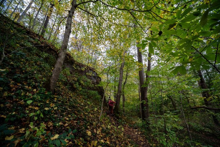 PHOTOS: An autumn walk at Serpent Mound