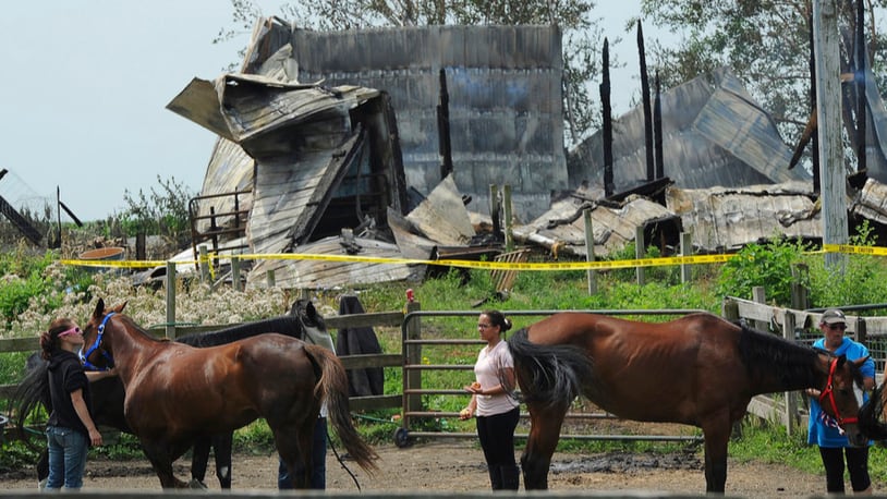 Horse owners from around the area tend to the horses that survived a massive stable fire early Wednesday, July 5, 2017 in Plainfield, Ill. Authorities say the horses died and two people were hurt after a morning blaze struck a horse-boarding barn in the southwestern Chicago suburbs. Plainfield Deputy Fire Chief Jon Stratton says 30 horses were in the barn when the fire started but a dozen survived because owners and firefighters were able to let them out. The cause of the blaze is under investigation. (Mark Welsh/Daily Herald via AP)