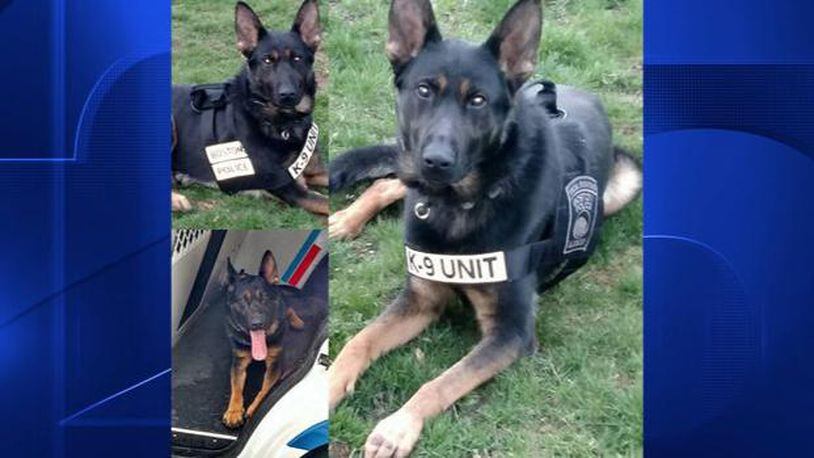 A Boston K-9 officer, named K-9 Rush, had to be euthanized after exposure to a hazardous chemical  while on duty.