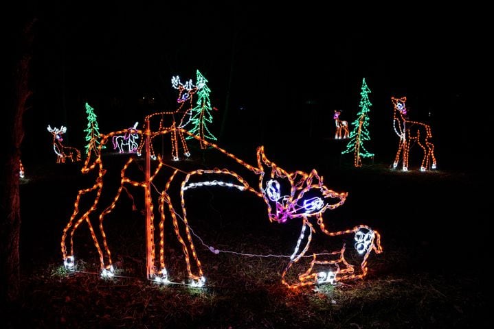 PHOTOS: ParkLights, a new winter wonderland at Caesar Ford Park in Xenia