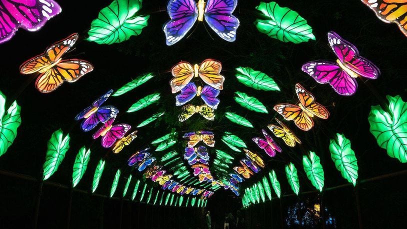 The Cleveland Metropark Zoo will be putting on a socially distanced version of its popular Asian Lantern Festival until Sept. 20.
