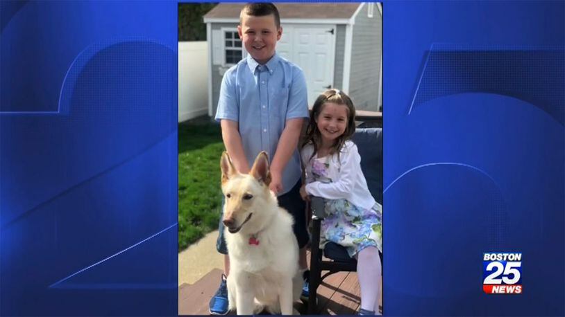 Nahant Police Officer Timothy Furlong's family dog, Lucy (pictured) was attacked by a loose pit bull in his family's neighborhood as Furlong's son, daughter (pictured) and wife cried for help.