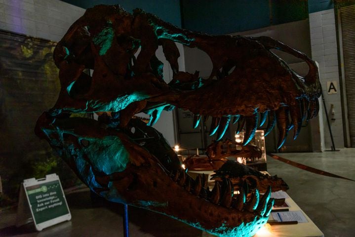 PHOTOS: Did we spot you at Jurassic Quest at the Dayton Convention Center?