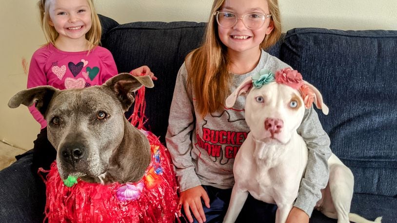 Maggie (dog) bottom left, Rylee Jo (daughter) behind Maggie. Angel (dog) bottom right, Emma (daughter) behind Angel ready for a fashion show. CONTRIBUTED