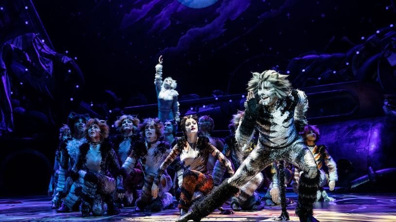 Dan Hoy as Munkustrap and the North American Tour of "CATS." CONTRIBUTED