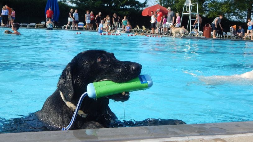 The last day of the season at the Cassel Hills Pool is Monday. Make sure to bring your furry friend along for Soggy Doggy Dip. CONTRIBUTED