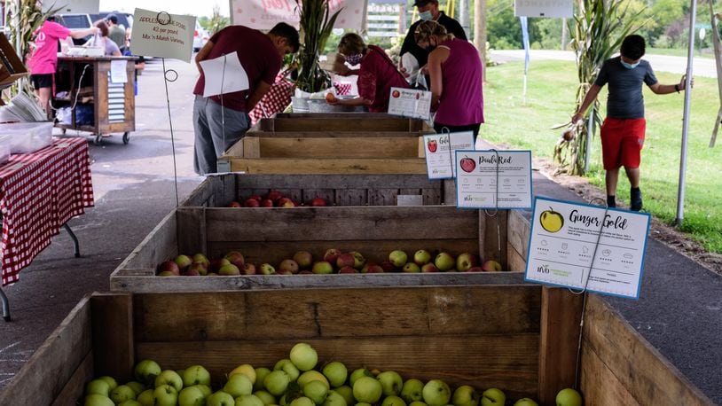 The All About Apples Weekend at Hidden Valley Orchards, located at 474 North, OH-48 in Lebanon, was held last September.  TOM GILLIAM/CONTRIBUTING PHOTOGRAPHER