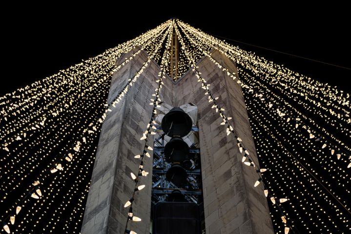 PHOTOS: Illumination of the Carillon Tree of Light